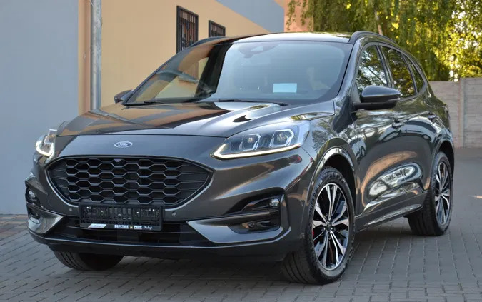 lubuskie Ford Kuga cena 79900 przebieg: 257400, rok produkcji 2020 z Lubsko